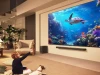 LG xác nhận TV thông minh quét mạng gia đình, phủ nhận nghe lén người dùng.