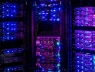Mỹ thu giữ dịch vụ cho thuê DDoS từng được dùng trong hàng trăm nghìn cuộc tấn công