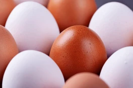 Trứng gà màu nâu và màu trắng khác gì nhau không? Nên mua trứng gà có màu gì?