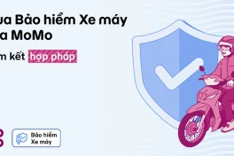Mất giấy chứng nhận bảo hiểm xe máy cứng: Xử lý thế nào?