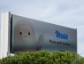 AI Muse của Meta tự chốt đơn và gửi địa chỉ nhà riêng cho khách lạ