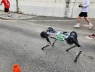 Robot chó RAIBO2 hoàn thành marathon nhanh hơn người, chỉ với một lần sạc