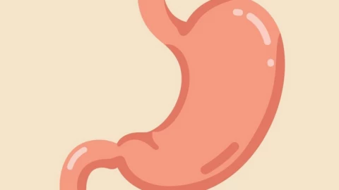 4 triệu chứng sau bữa ăn có thể là dấu hiệu cảnh báo ung thư dạ dày: Cần đặc biệt lưu ý