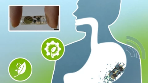 Pin giấy "ăn được" có thể cấp năng lượng cho thiết bị y tế trong cơ thể