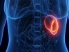 Phát hiện mới: Lá lách có thể ảnh hưởng đến suy giảm nhận thức ở phụ nữ