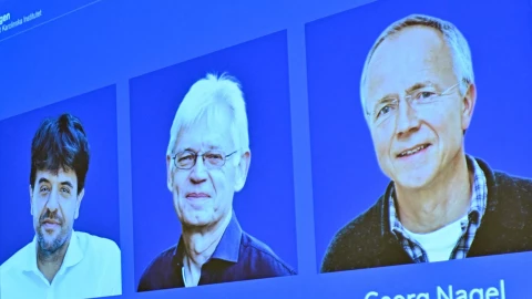 Nobel 2026 đang gọi tên các chủ nhân. Ai đã được giải?