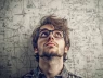 Con người có thật sự là sinh vật thông minh nhất trên hành tinh?