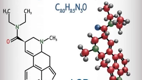 Bí quyết LSD an toàn từ cuốn cẩm nang 60 năm tuổi