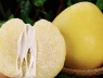 Vào mùa thu, bạn nên ăn nhiều loại quả này, nhiều vitamin C hơn cả cam