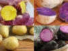 Những món ăn chay quen thuộc này hóa ra lại là "cạm bẫy” cho người tiểu đường