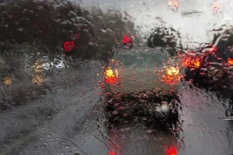Có nên bật đèn khẩn cấp khi trời mưa lớn?
