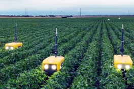 Robot tích hợp AI đang thay đổi ngành nông, bớt phun thuốc diệt cỏ hơn trước