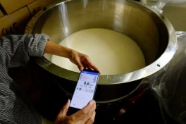 Độc lạ Nhật Bản: cho vi sinh vật trong rượu sake …"nghe nhạc" nhưng không phải để rượu ngon hơn