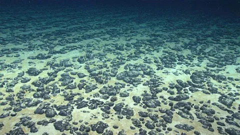 Khoa học kinh ngạc khi phát hiện ra thứ này ở độ sâu 4.000m dưới đáy đại dương