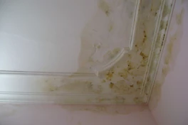Trần nhà bê tông bị thấm nước là tại vì sao? Những nguyên nhân trần nhà bị dột