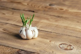 Nên chọn tỏi vỏ tím hay vỏ trắng?