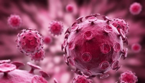 Virus HPV thâm nhập và lây nhiễm gây ung thư tử cung như thế nào?