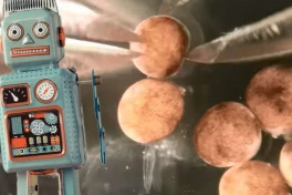 Có nên chế tạo robot có khả năng sinh sản hay không? Vì sao loài người nên sợ hãi?