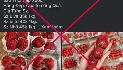 Tìm người bị đối tượng Lò Thanh Xôm ở Sơn La dụ mua nông sản rồi chiếm đoạt tiền cọc