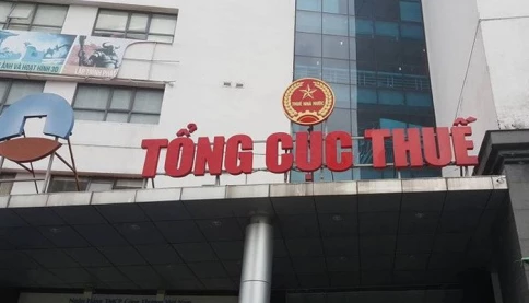 Từ 1/3, Tổng cục thuế chuyển thành Cục Thuế, 20 chi cục thuế khu vực, không quá 350 đội thuế cấp huyện