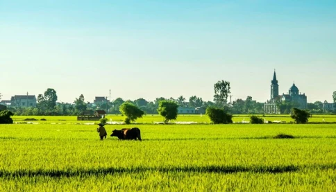 Tại sao gọi Thái Bình là quê hương năm Tấn?