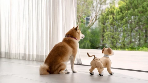 Sony ra mắt chó robot tích hợp AI, giá gần 50 triệu đồng