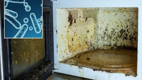 Vi khuẩn kháng bức xạ nguy hiểm sinh sôi trong lò vi sóng