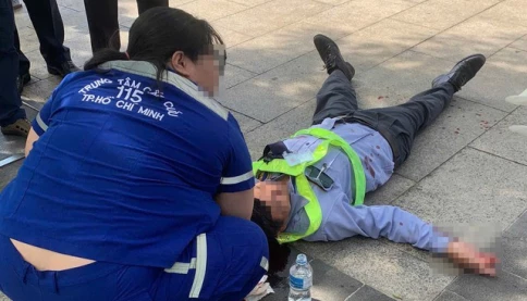 Khởi tố thanh niên đánh bị thương nhân viên bảo vệ để "bênh chó"