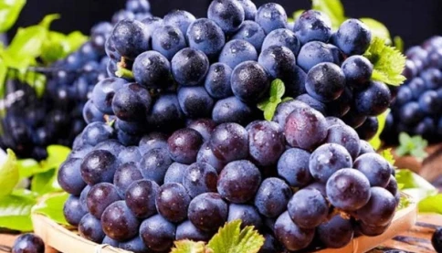 Cách rửa nho sau 10 phút loại bỏ hết hóa chất, ăn không cần bóc vỏ