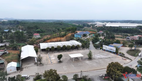 Bí thư thị ủy nói về nguồn gốc đất biệt phủ của giang hồ Tuấn 'trắng'