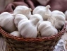 Cách bảo quản tỏi rất đơn giản, không bị teo và không nảy mầm