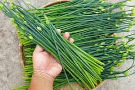 Loài rau thơm ngon không nhiều người biết,  bổ thận tráng dương, kích thích sinh lý