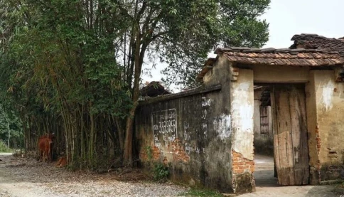 Góc quê xưa còn lưu lại qua ảnh. Giờ bụi tre không còn thấy ở quê nữa