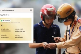 Các loại bằng lái xe ô tô mới nhất 2024