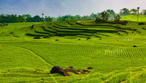 Qua bao lần tách nhập, tỉnh miền Trung này vẫn không xuy xuyển. Cùng nhìn lại hành trình từ thuở hồng hoang đến nay của tỉnh