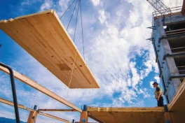 Loại gỗ rắn như thép, cứng như bê tông, khả năng chống cháy cao