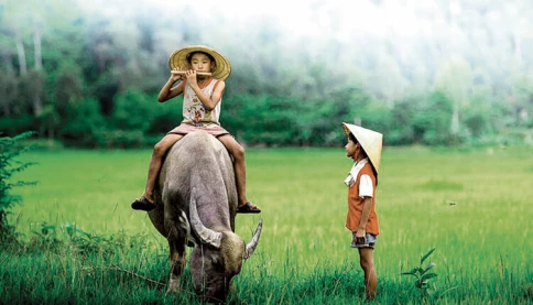 Đến với bài thơ hay: Một thời trẻ con