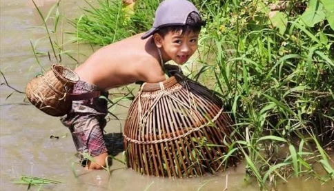 Đến với bài thơ hay: Ký ức miền quê