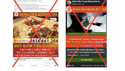 Vì sao người già dễ trở thành nạn nhân bị các bác sĩ dởm trên mạng lừa?