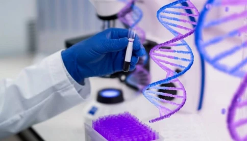 Bố phát hiện con không cùng ADN sau khi ly hôn và đã chu cấp nuôi nhiều năm