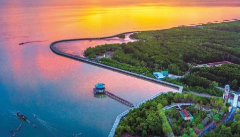 Vùng trời Cà Mau - Truyện ngắn của Trà Bình