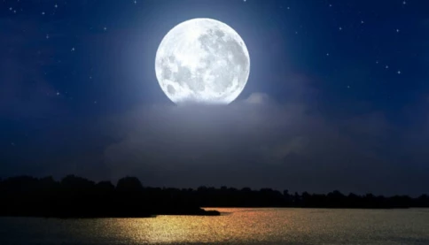 Đến với bài thơ hay: Rau dại