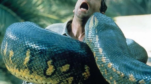 Sony đang sản xuất 1 bộ phim mới thuộc franchise "Anaconda"