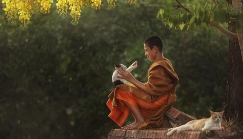 Đến với bài thơ hay: Ăn chay sống khỏe