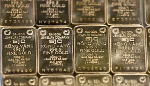 Việt Nam phát hiện 40 mỏ vàng, trữ lượng 30 tấn