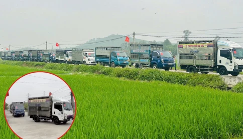 Rước dâu bằng một dàn XE TẢI khiến dân tình ‘há hốc mồm’: Nhà gái có chịu về không?