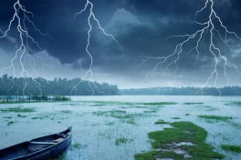 Chuyện gì xảy ra khi sét đánh xuống hồ nước?