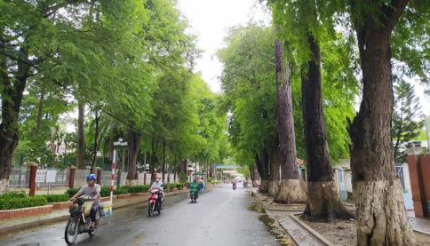 Ông chủ Cây xanh Công Minh bị truy nã