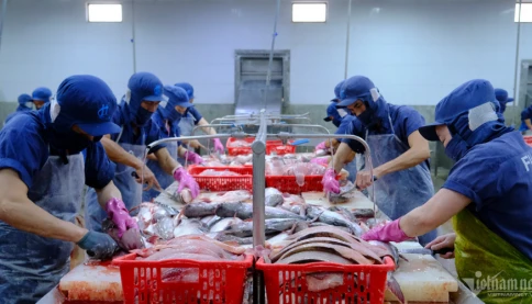 Doanh nghiệp nhận tin vui cho hàng Việt Nam đang trên đường đến Mỹ
