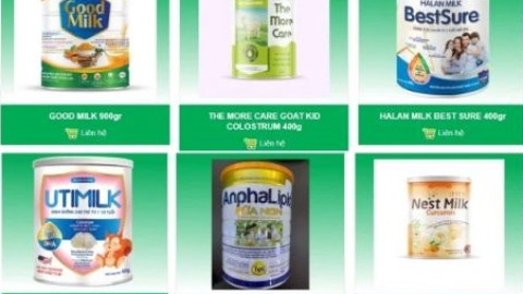 Tổng giám đốc Công ty cổ phần sữa Hà Lan bị bắt vì lý do gì?